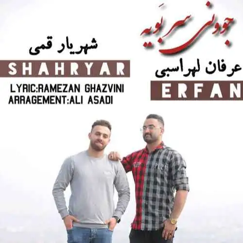 جوونی سربویه